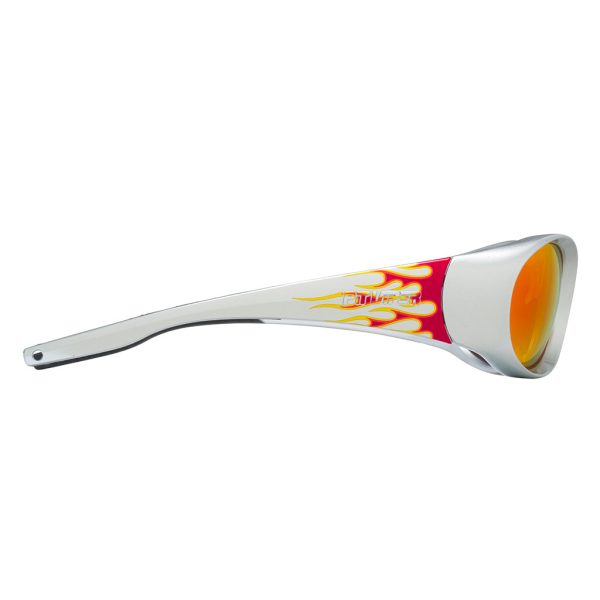 The Inflammation Slammer Sale - Image 5